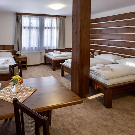 Hotel Slavie 4*