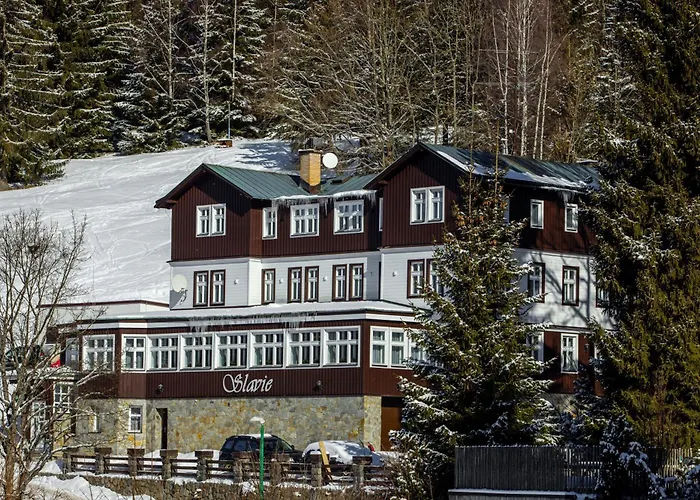 Slavie 4* スピンドレルフ・ムリン